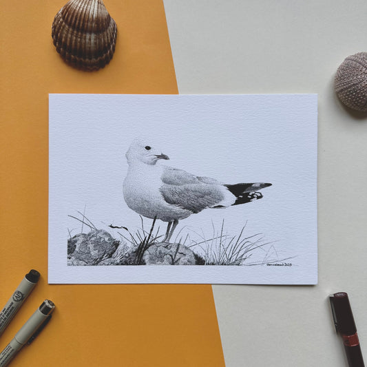 Seagull | Original